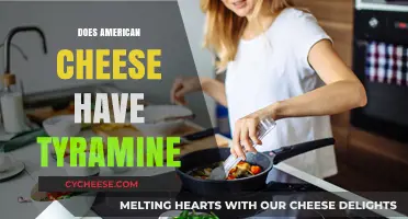 Does American Cheese Contain Tyramine? Uncovering the Truth for Migraine Sufferers