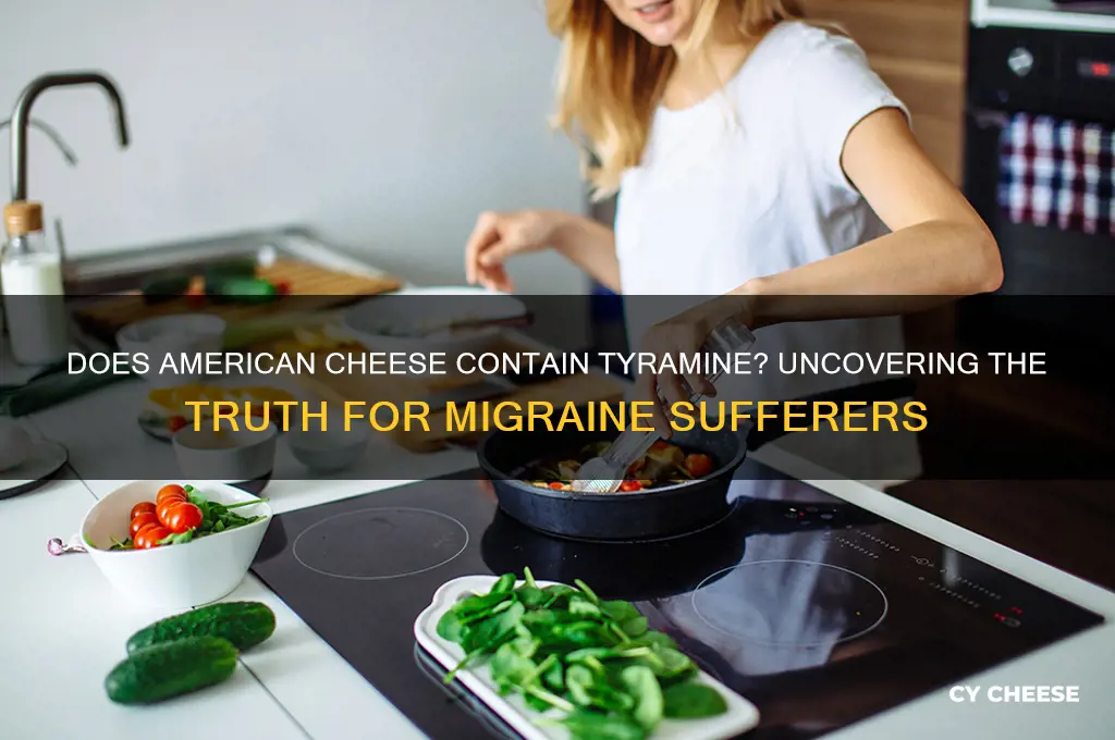 does american cheese have tyramine