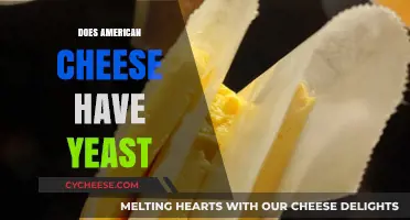 Does American Cheese Contain Yeast? Unraveling the Ingredients Mystery