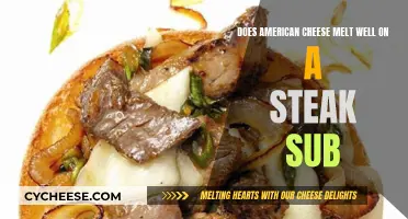 American Cheese on Steak Subs: Melting Magic or Mess?