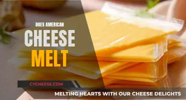 American Cheese Melting: The Science Behind It