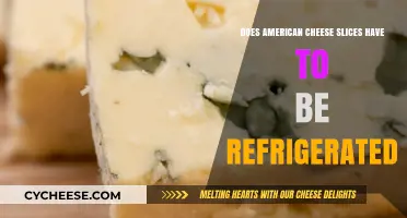 Should American Cheese Slices Be Refrigerated? Storage Tips Explained