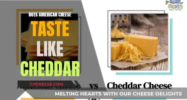 American Cheese: A Cheddar Look-Alike or a Different Beast?