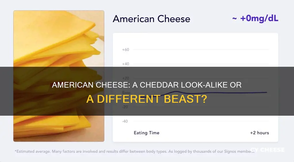 does american cheese taste like cheddar