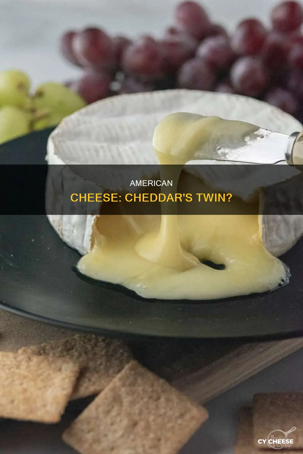 does american cheese taste like cheddar