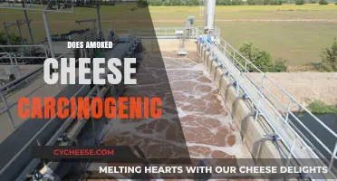 Is Smoked Cheese Carcinogenic? Uncovering the Health Risks and Facts
