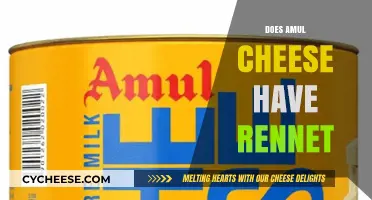 Is Amul Cheese Vegetarian? Exploring Rennet Use in Amul Products