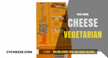 Is Amul Cheese Vegetarian? Exploring Ingredients and Production Methods