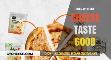 Does Vegan Cheese Taste Good? A Honest Review of Top Brands