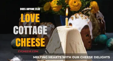 Cottage Cheese Craze: Why This Creamy Delight Deserves More Love