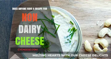 Creamy and Delicious: Non-Dairy Cheese Recipe Ideas to Try