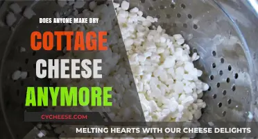 Is Dry Cottage Cheese Still Made? A Nostalgic Dairy Search