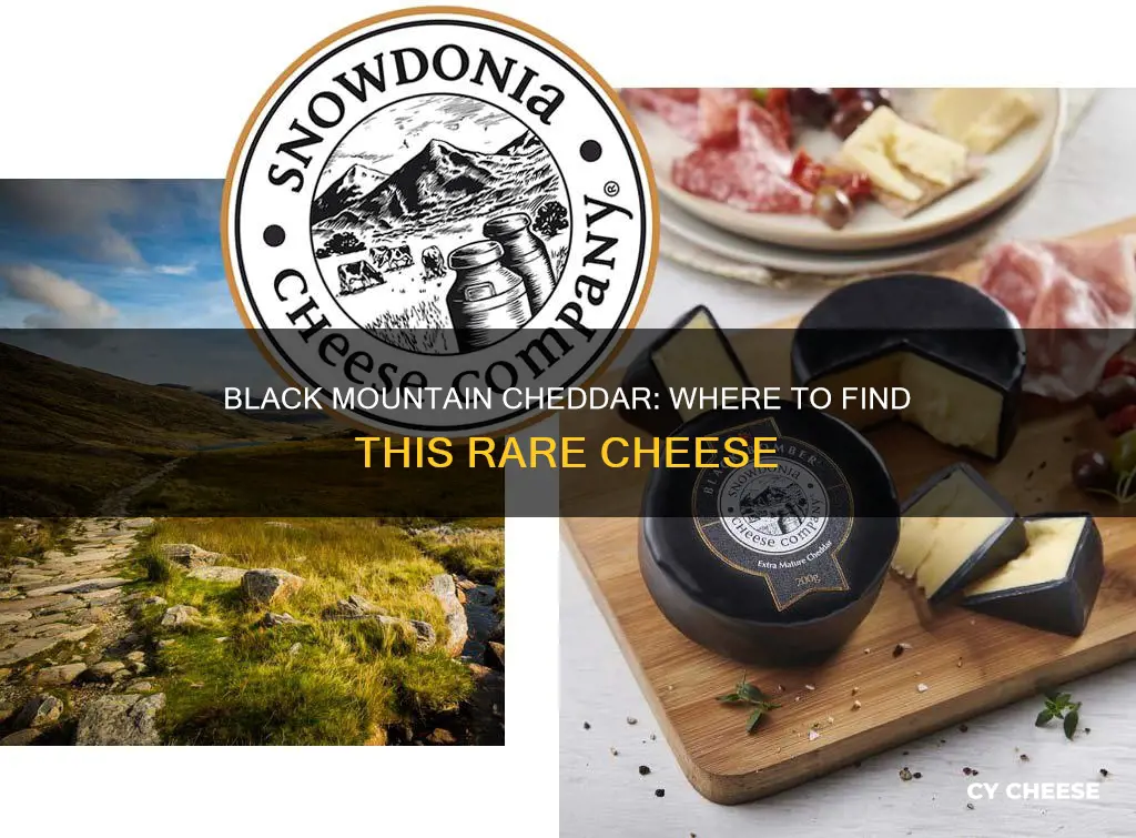 does anyone sell black mountain sharp cheddar cheese