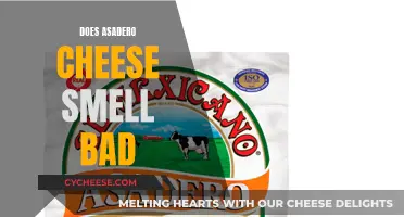 Asadero Cheese: Does It Smell Bad?
