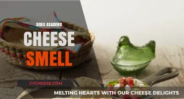 Does Asadero Cheese Smell? Exploring Its Unique Aroma and Flavor Profile