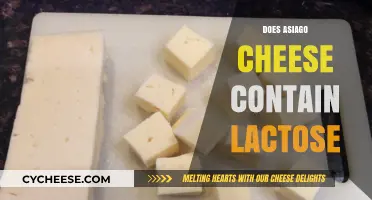 Is Asiago Cheese Lactose-Free? Exploring Its Dairy Content and Benefits