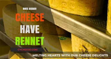 Does Asiago Cheese Contain Rennet? A Detailed Explanation