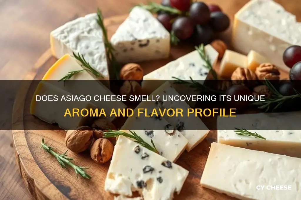 does asiago cheese smell