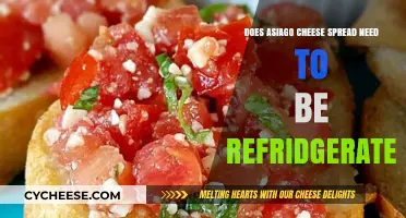 Does Asiago Cheese Spread Require Refrigeration? Storage Tips Revealed