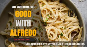 Asiago Cheese in Alfredo Sauce: A Match Made in Heaven?