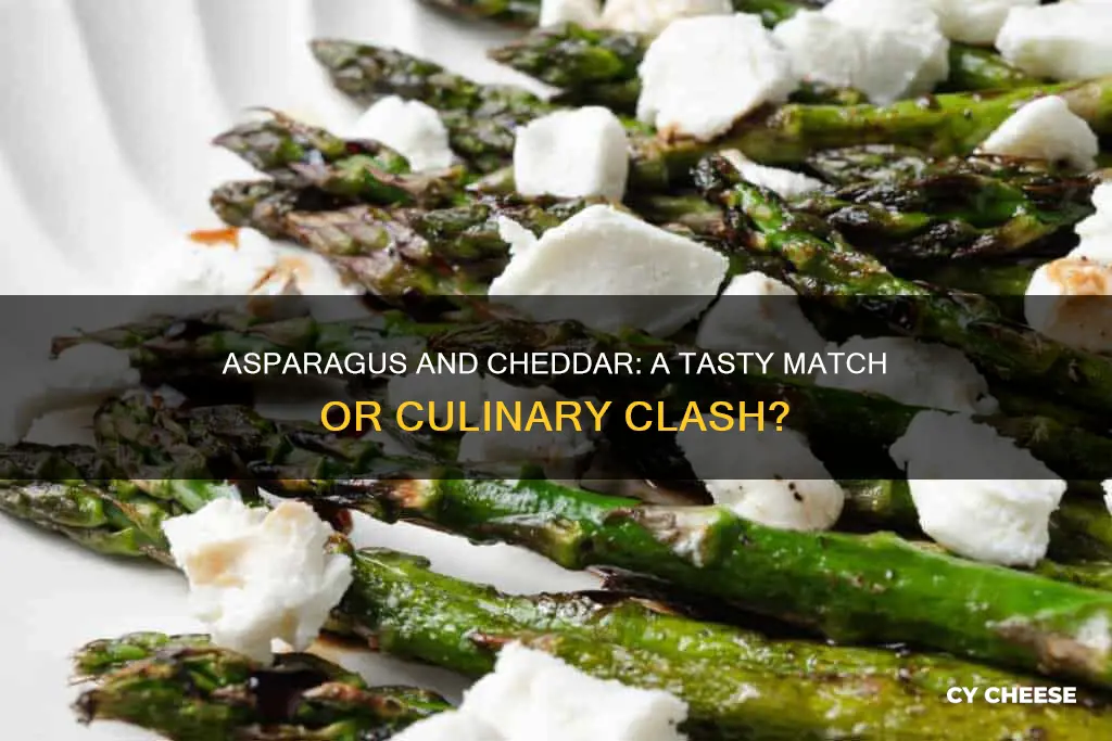 does asparagus go with cheddar cheese