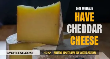 Down Under's Cheddar: Australia's Cheesy Answer Revealed