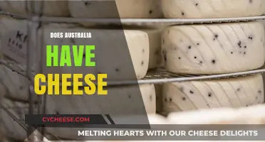 Exploring Australia's Cheese Scene: A Look at Local Dairy Delights