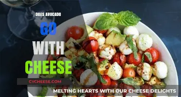 Avocado and Cheese: A Match Made in Culinary Heaven?
