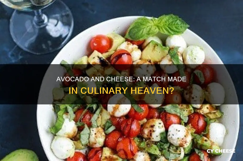 does avocado go with cheese