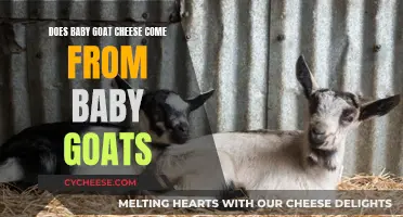 Baby Goat Cheese: Unraveling the Myth