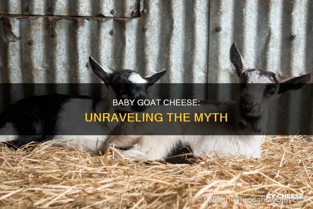 does baby goat cheese come from baby goats