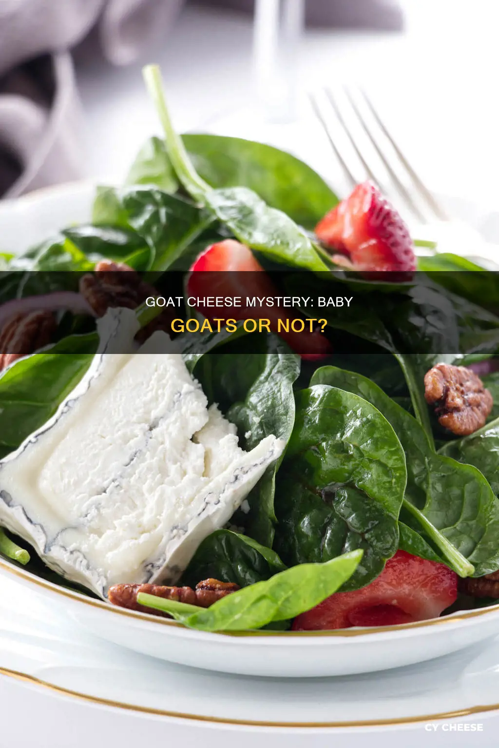 does baby goat cheese come from baby goats