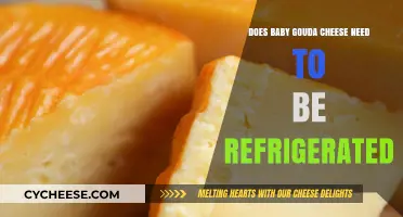 Should Baby Gouda Cheese Be Refrigerated? Storage Tips Revealed