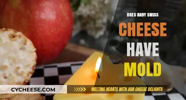 Baby Swiss Cheese: Moldy or Not?