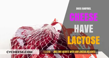 Does Babybel Cheese Have Lactose? Uncovering the Truth for Cheese Lovers