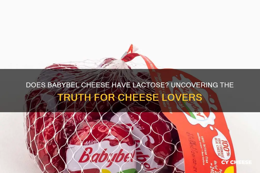 does babybel cheese have lactose