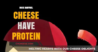 Does Babybel Cheese Have Protein? Nutritional Facts Revealed
