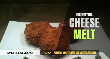 Melting Babybel: Does This Cheese Melt?