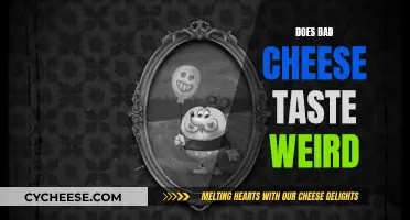 Cheese Gone Bad: A Strange Taste Experience