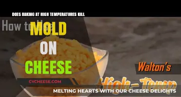 High-Temp Baking: Can It Eliminate Mold on Cheese Safely?