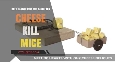 Baking Soda and Parmesan Cheese: Effective Mice Killers?