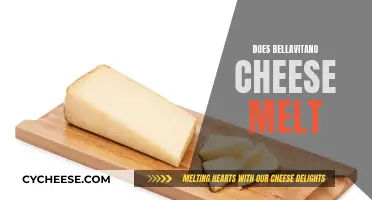 Bellavitano Cheese Melting: The Ultimate Guide