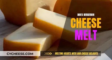 The Melting Magic of Bergeron Cheese