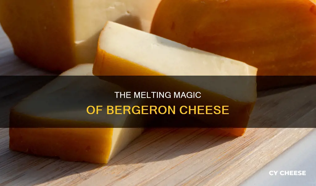 does bergeron cheese melt