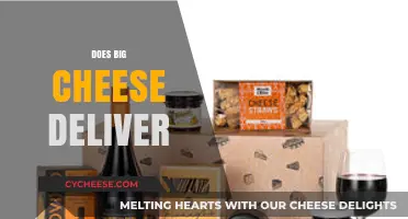 Does Big Cheese Deliver? Exploring Their Service and Reliability