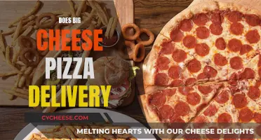 Big Cheese Pizza Delivery: A Tasty Adventure