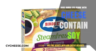 Birds Eye Penne with Cheese: Soy Ingredients Explained