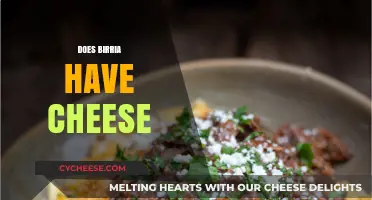 Does Birria Have Cheese? Unraveling the Cheesy Truth Behind This Dish