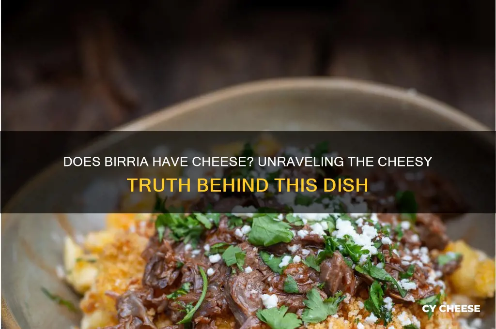 does birria have cheese