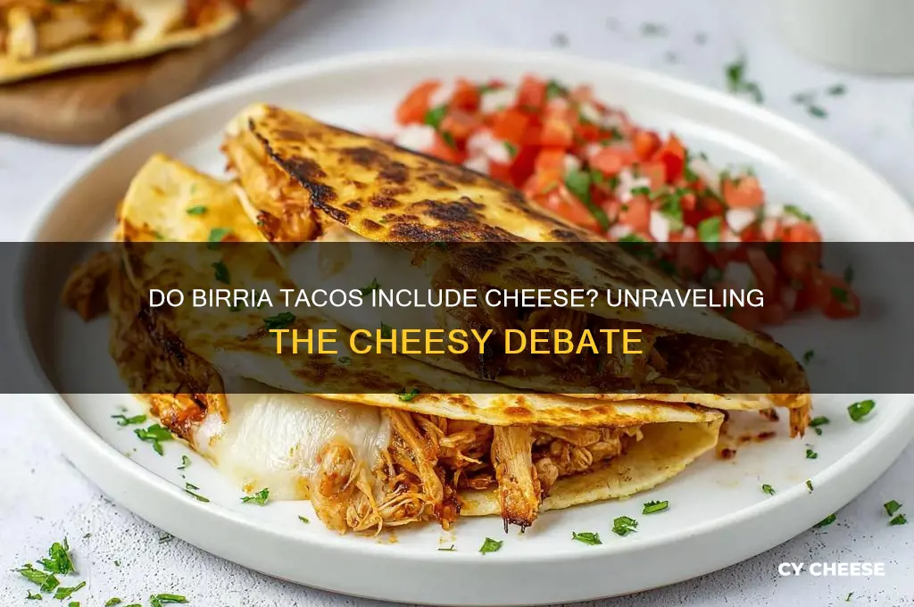 does birria tacos have cheese